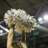 A picrture of pompoms held up by a cheerleader