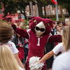 Hooter on campus.