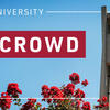 Owl Crowd